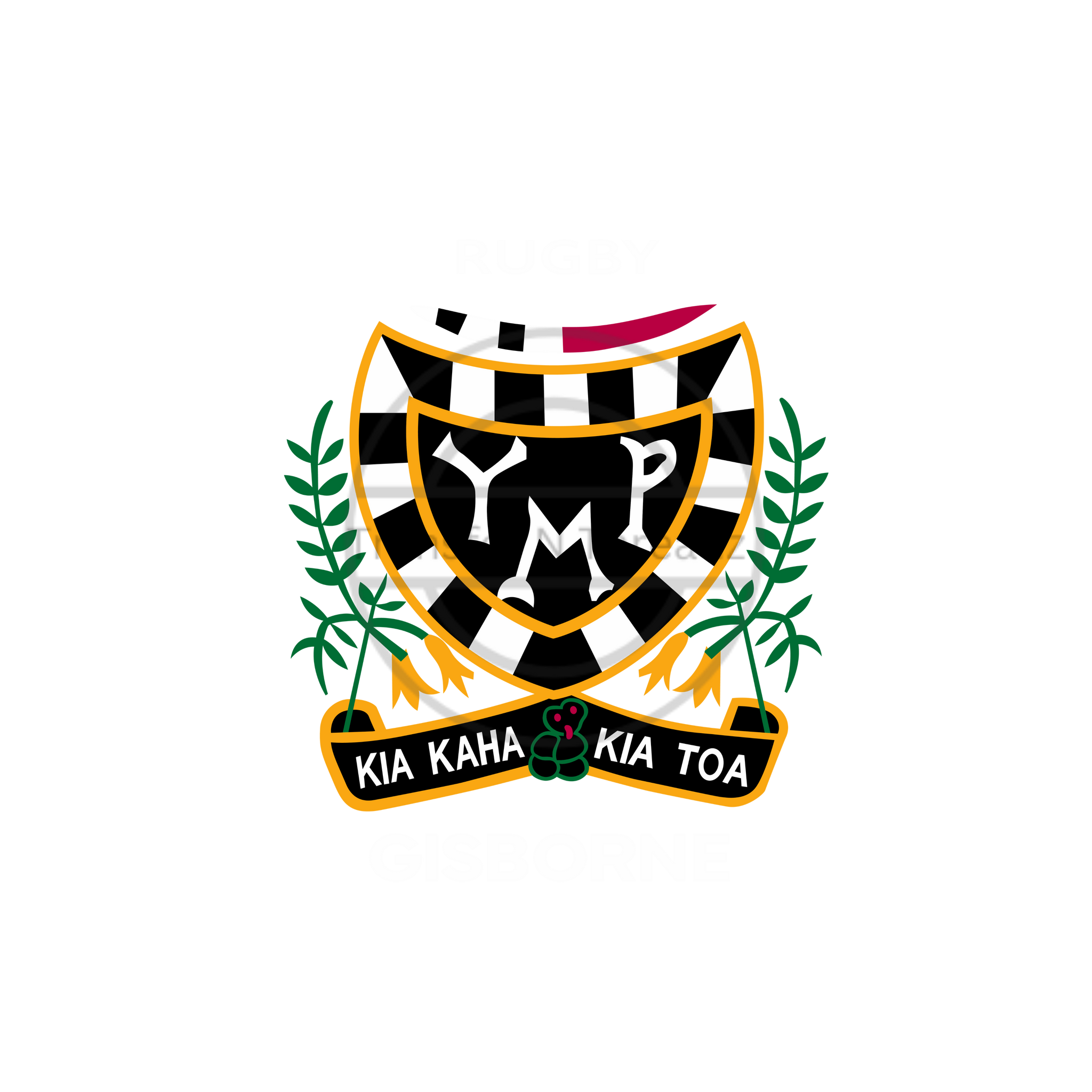 YMP Rugby Gisborne